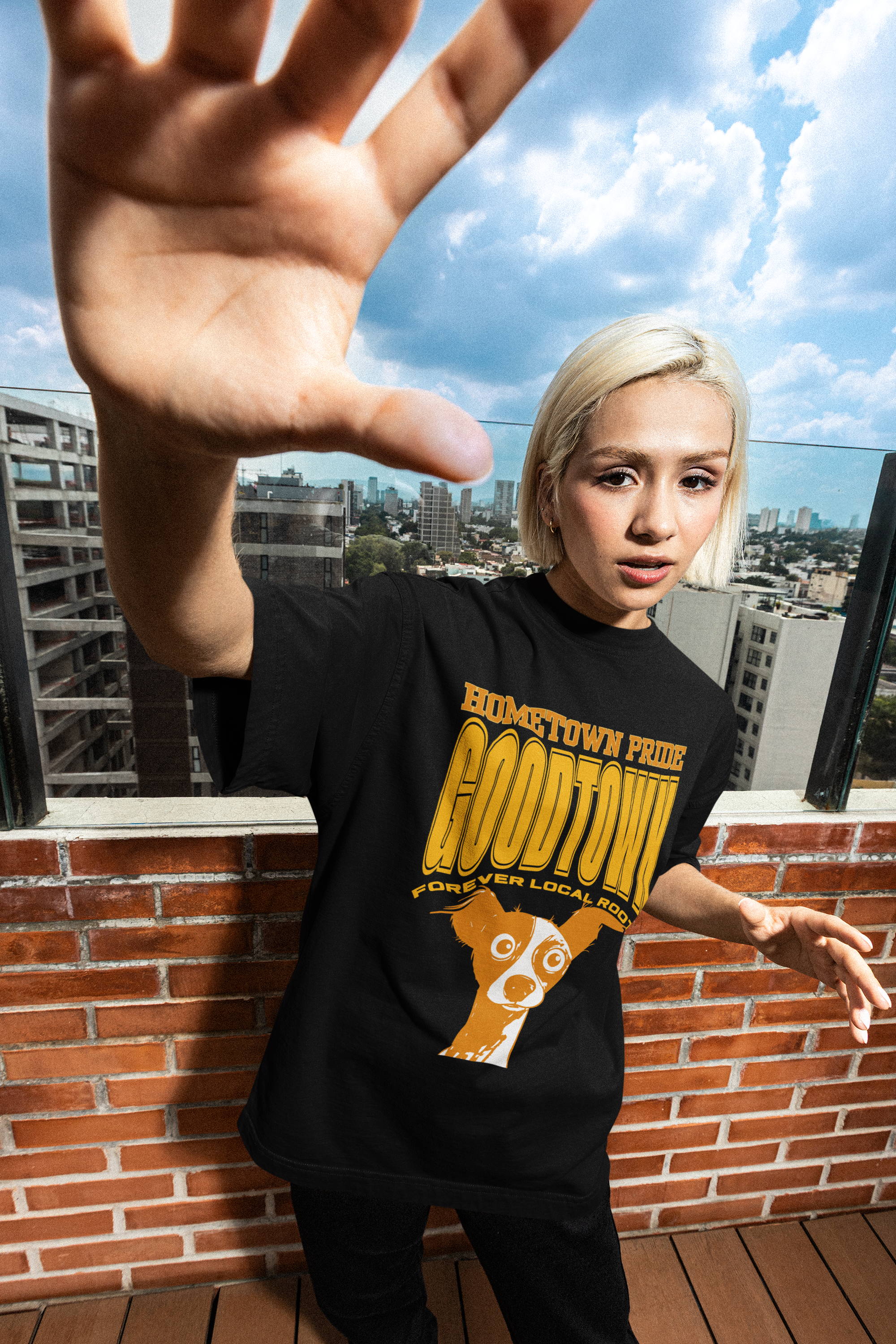 Hometown Pride Box-Tee Collection - Goodtown