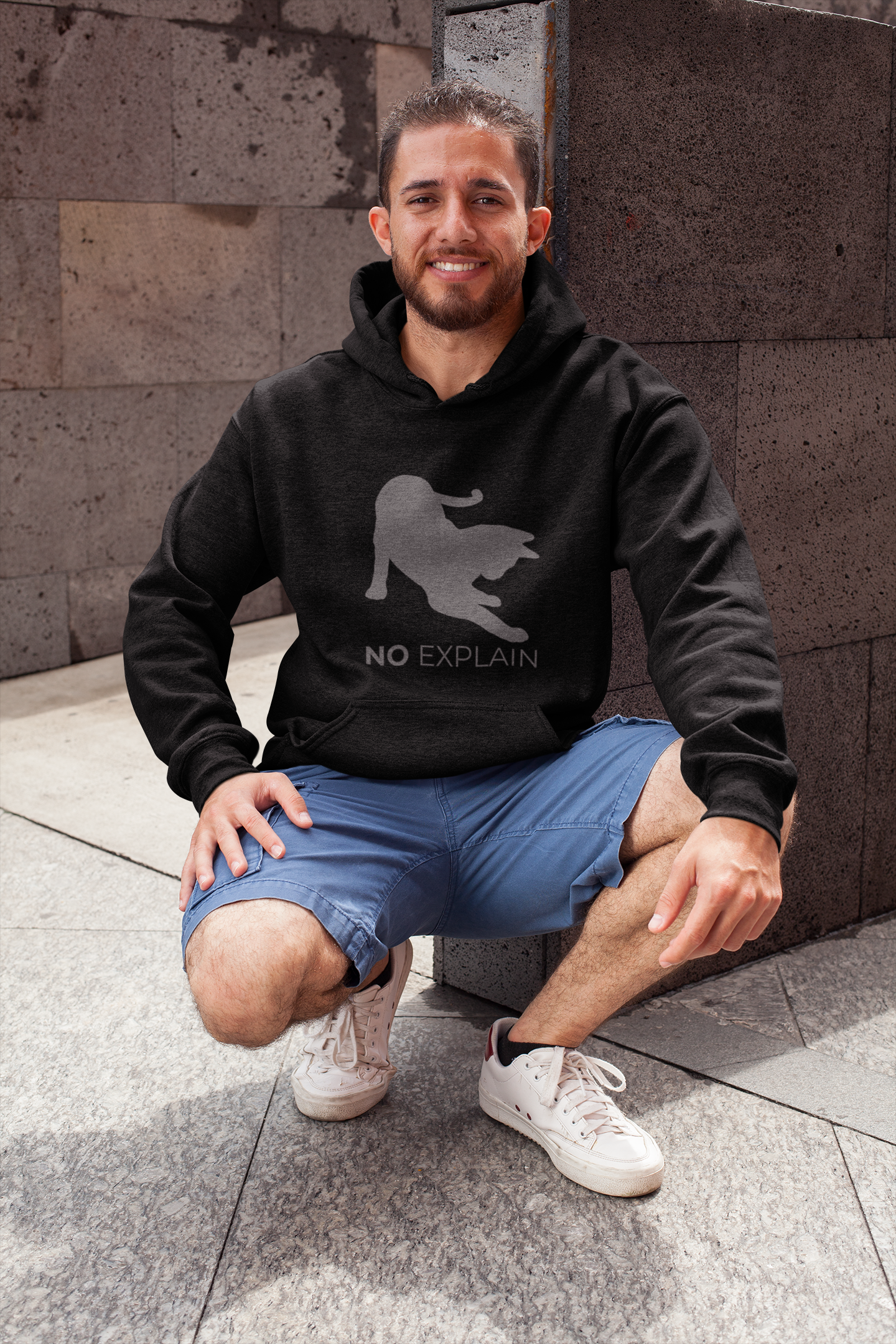 Animal Attitude Hoodie Line - No Explain Cat