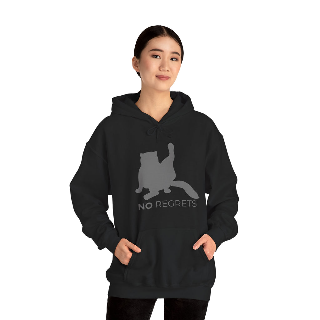 Animal Attitude Hoodie Line - No Regrets Cat